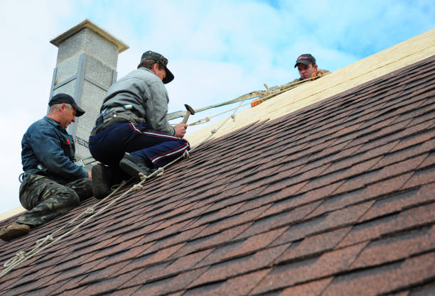 Quick and Trustworthy Emergency Roof Repair Services in Holladay, UT